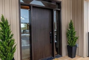 Ein moderner Hauseingang mit einer dunklen Holztür, Glastafeln und zwei Blumentöpfen.