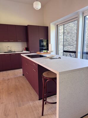 Microwave, oven, stovetop, dishwasher - La Cure de Rièzes, Chimay, newly renovated cottage for 12 with sauna (Chimay)