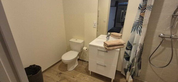 Une petite salle de bain avec des toilettes, un lavabo et une douche.