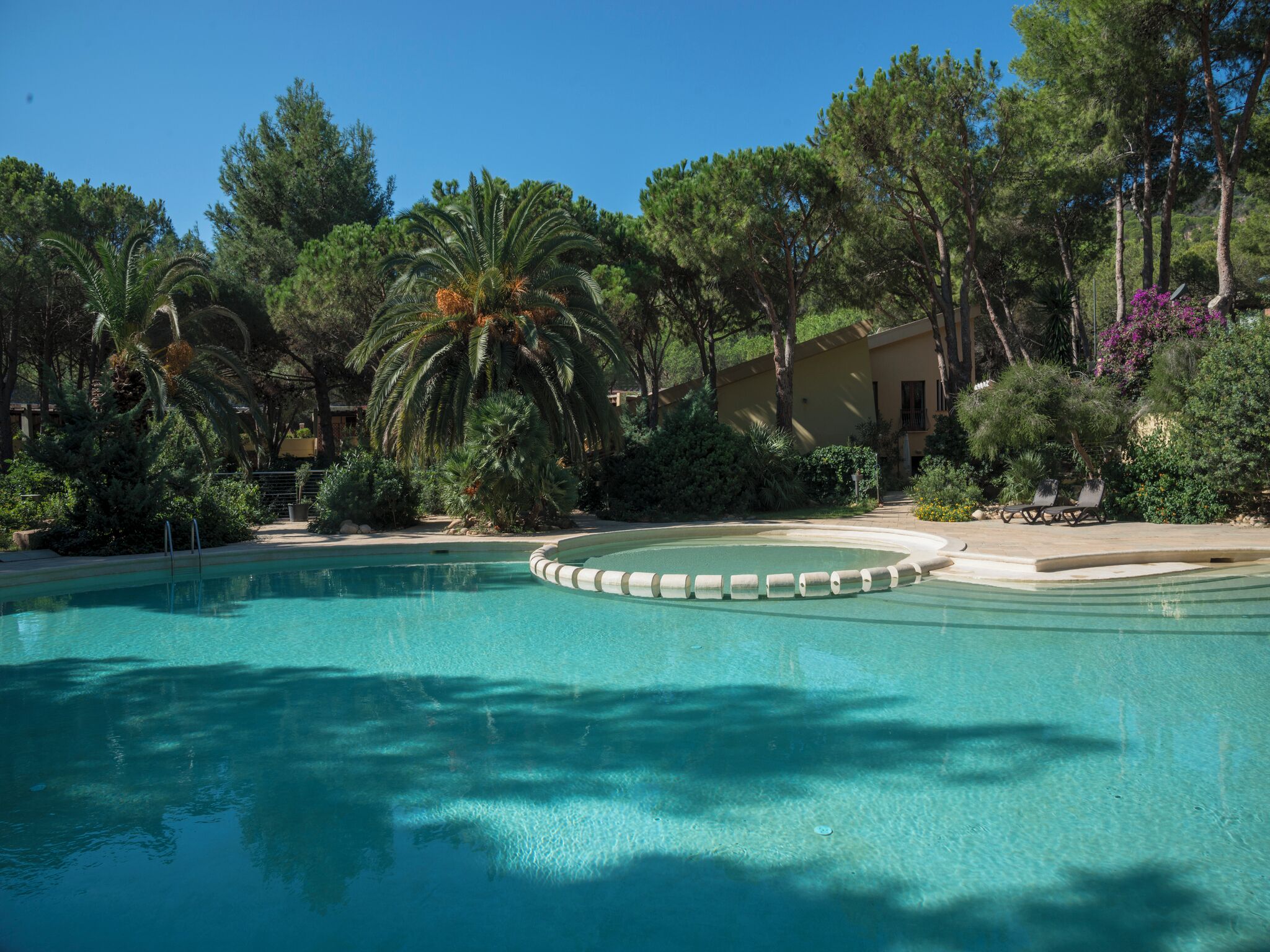 A clear swimming pool surrounded by lush greenery and trees.