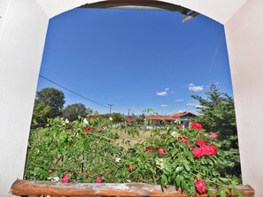 Ein Garten mit blühenden Rosen, einer hölzernen Bank und einem Haus im Hintergrund.