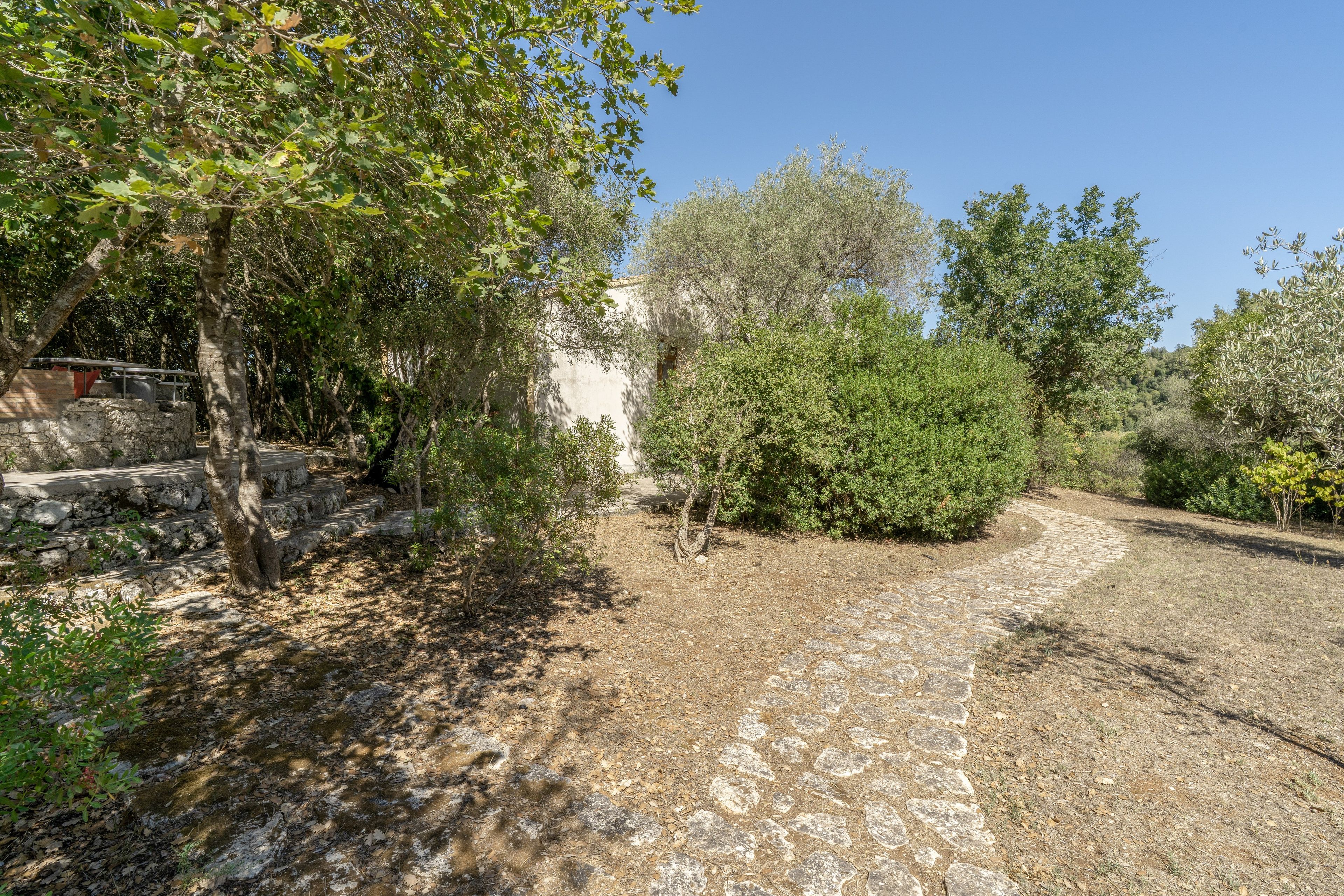 A stone pathway leading through a garden with various trees and shrubs.