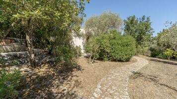 A stone pathway leading through a garden with various trees and shrubs.