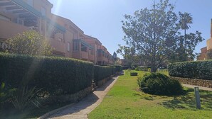 Uma passagem por área residencial com sebes bem aparadas e uma árvore.