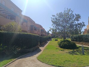 Property grounds - La Vereda de la puerta de atrás (Chiclana de la Frontera)