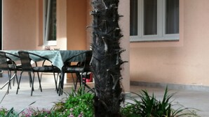 A building exterior with a palm tree, outdoor seating, and windows. - Apartment Gea (Rovinj)