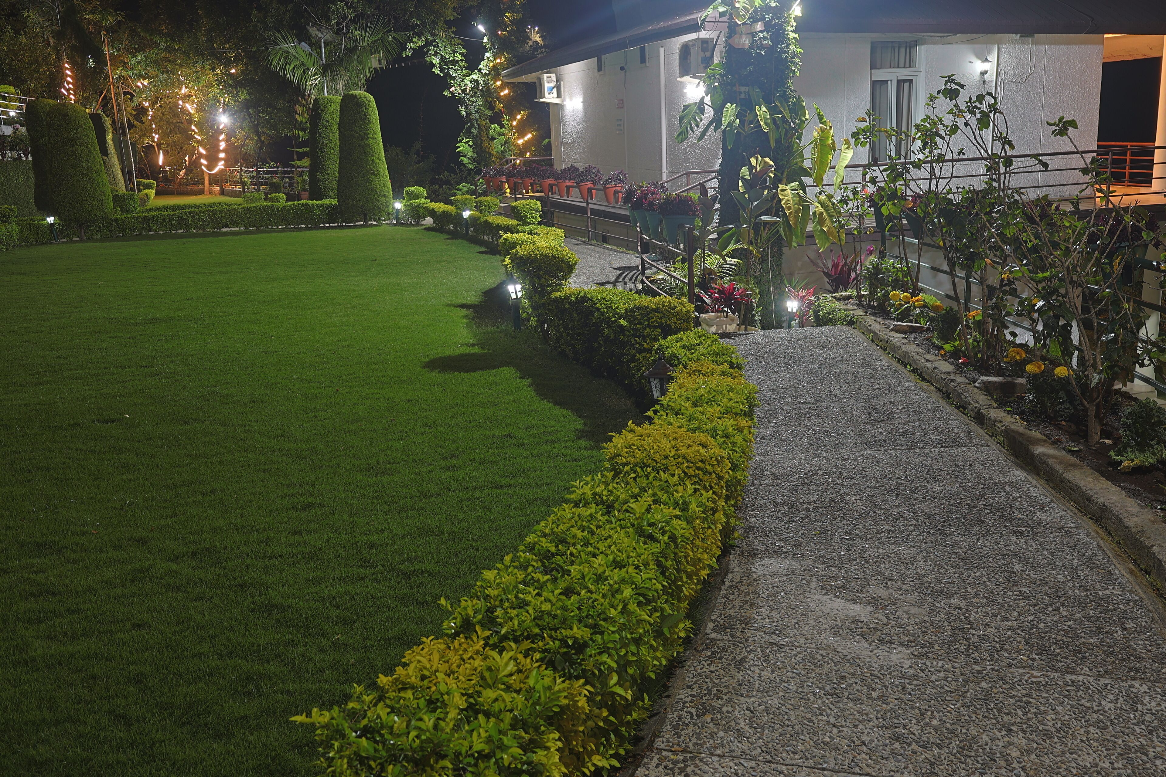 Garden