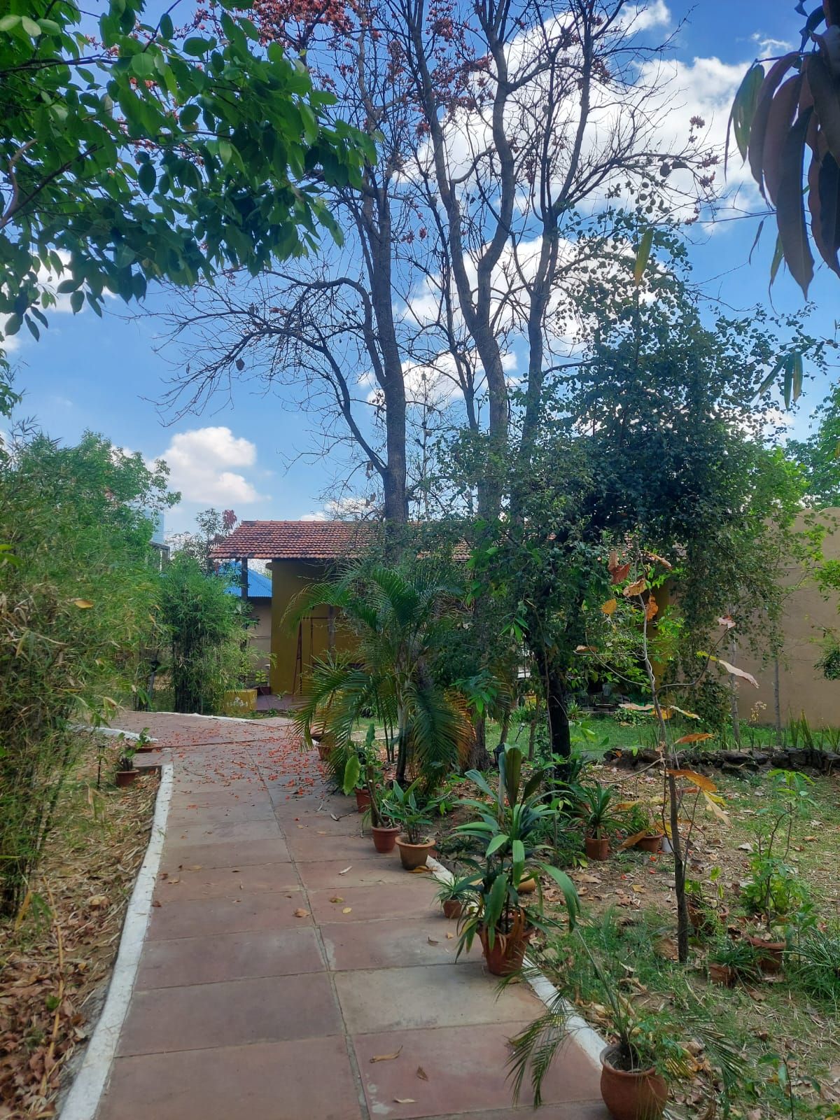 A pathway lined with potted plants leading to a building with a tiled roof.