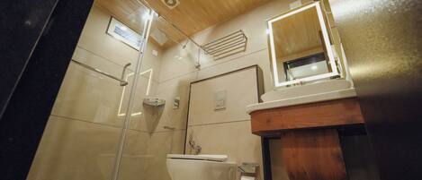 A modern bathroom with a glass shower enclosure, a toilet, and a vanity with a mirror.