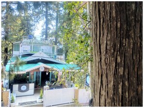 Exterior - Hotel The Mountain Pine Nainital (Nainital)