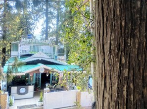 Exterior - Hotel The Mountain Pine Nainital (Nainital)