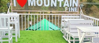 Hotel The Mountain Pine Nainital