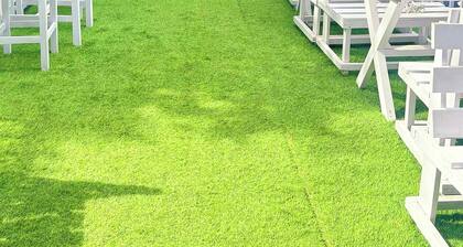 Hotel The Mountain Pine Nainital