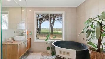 Douche, serviettes fournies, papier toilette