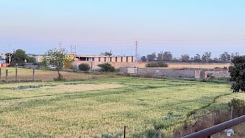 Deluxe tweepersoonskamer, uitzicht op de binnenplaats | Terrein van de accommodatie