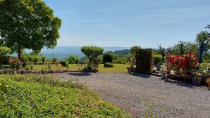A garden with a gravel path, trees, and potted plants.