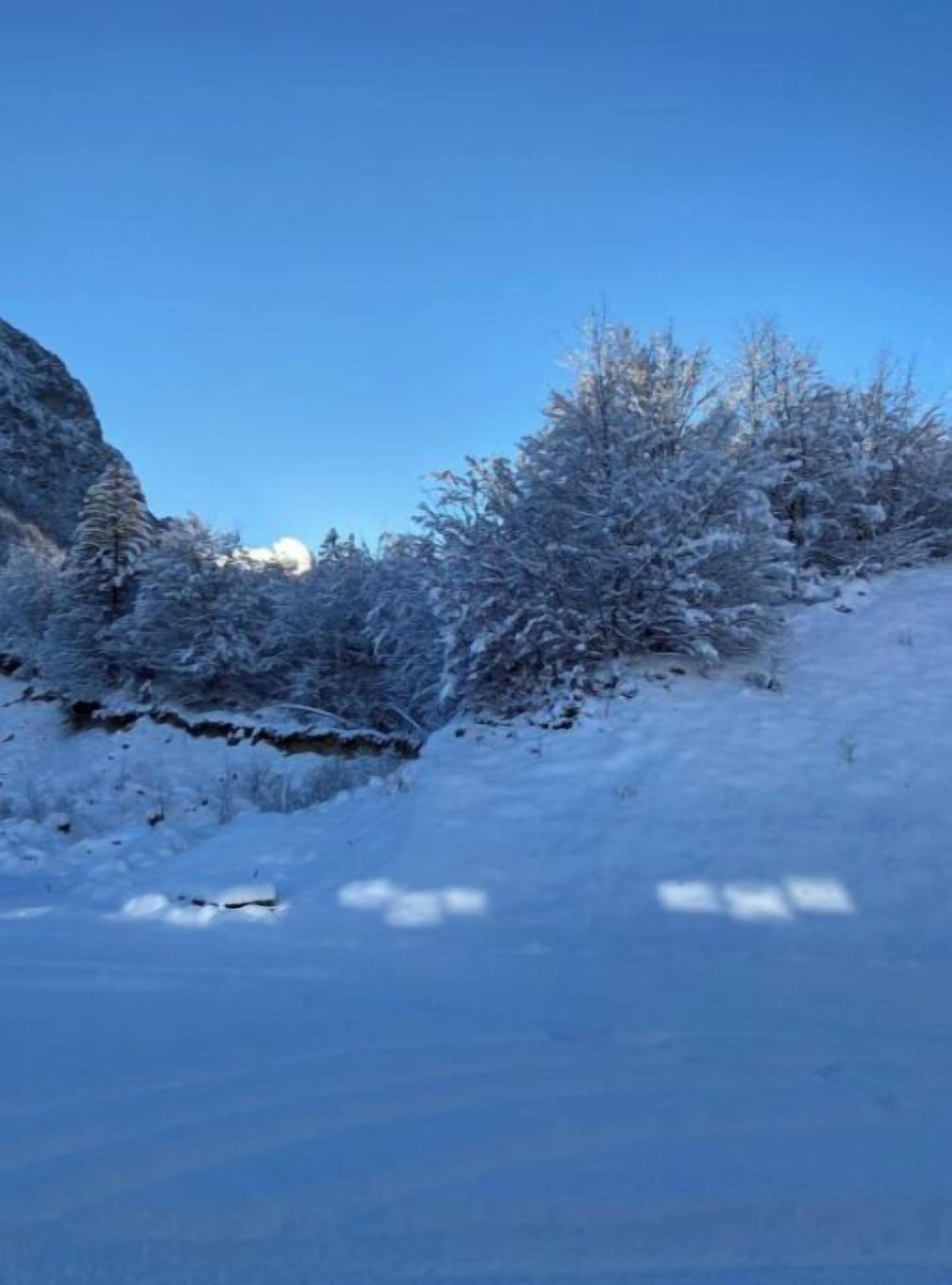 Un paisaje nevado con árboles y un cielo azul despejado.