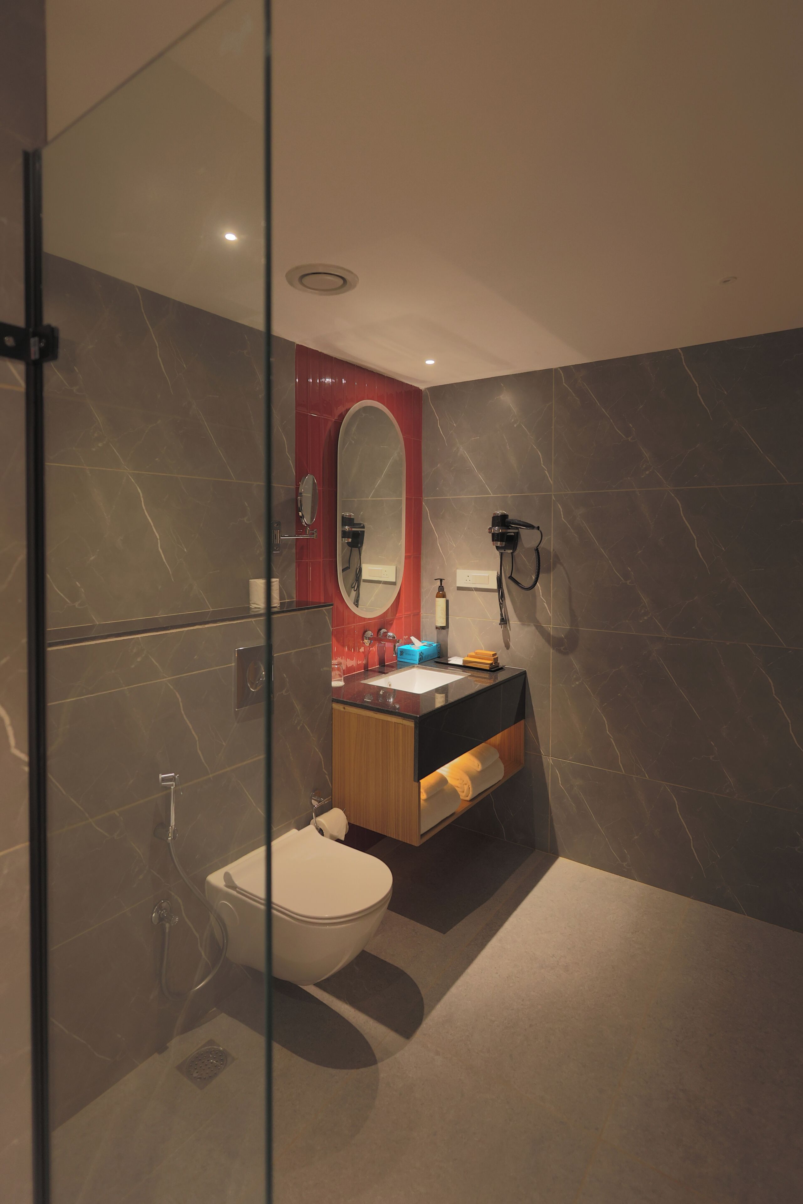A modern bathroom with a glass partition, a toilet, a sink with a mirror, and a shower area.
