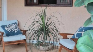A room with two wooden chairs, a potted plant, and a window with dark shutters. - Cozy house in Angra dos Reis (Angra dos Reis)