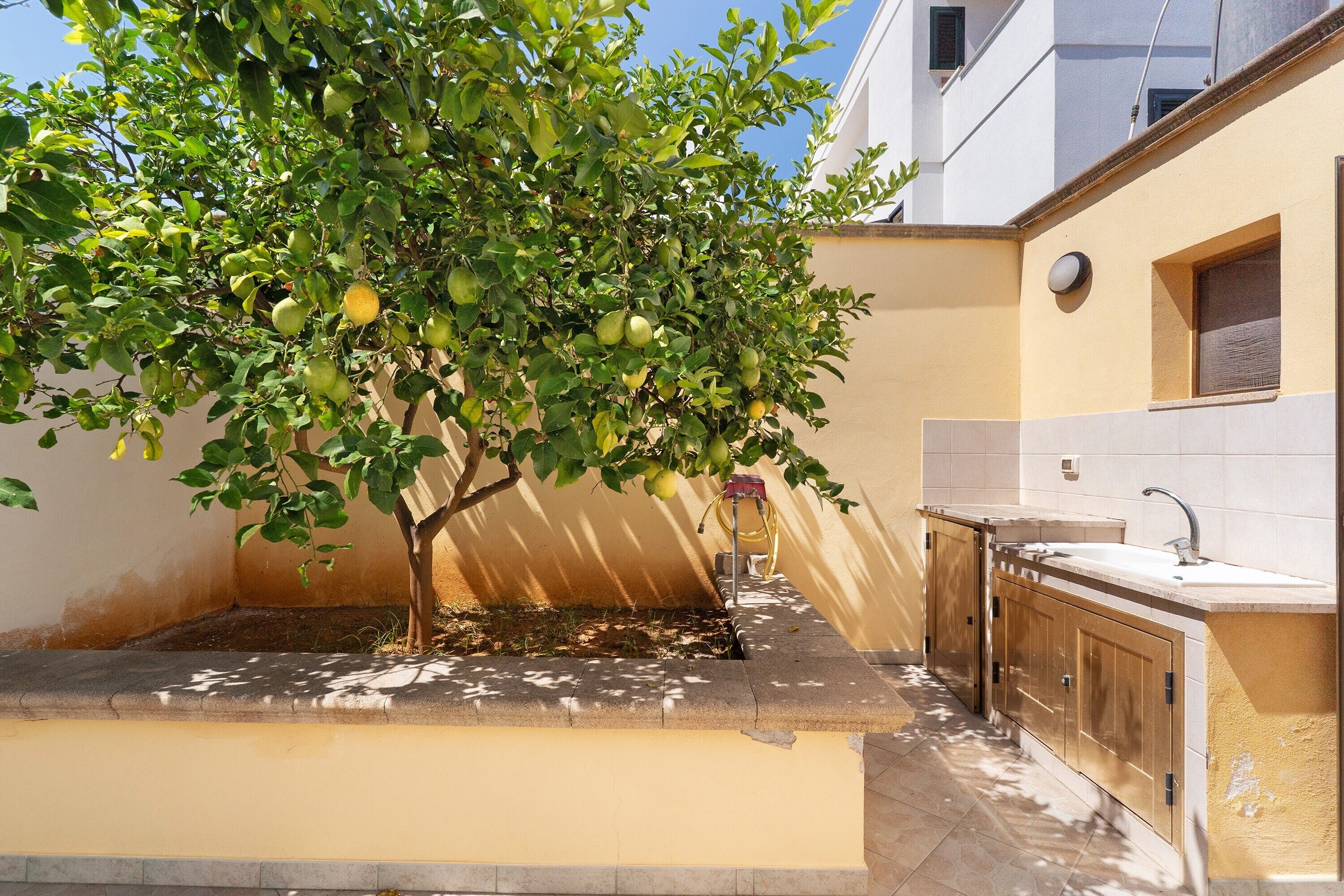 A tree with green leaves and yellow fruits, a water spigot, and a kitchen area with a sink and cabinets.