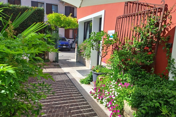 Detalle exterior