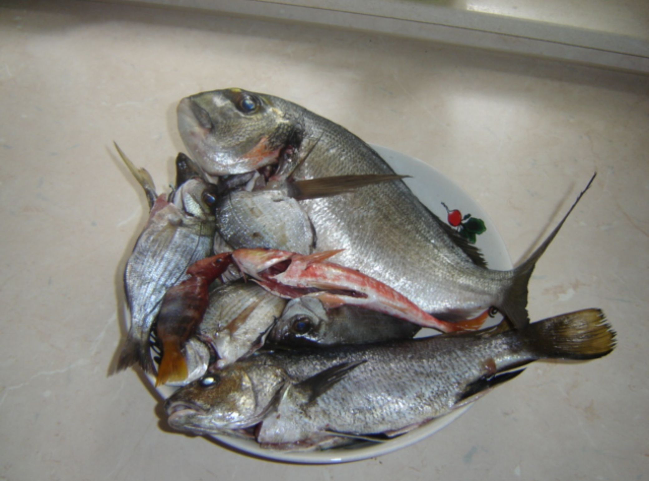 A plate with several fish, including a larger one with a prominent head and smaller ones.