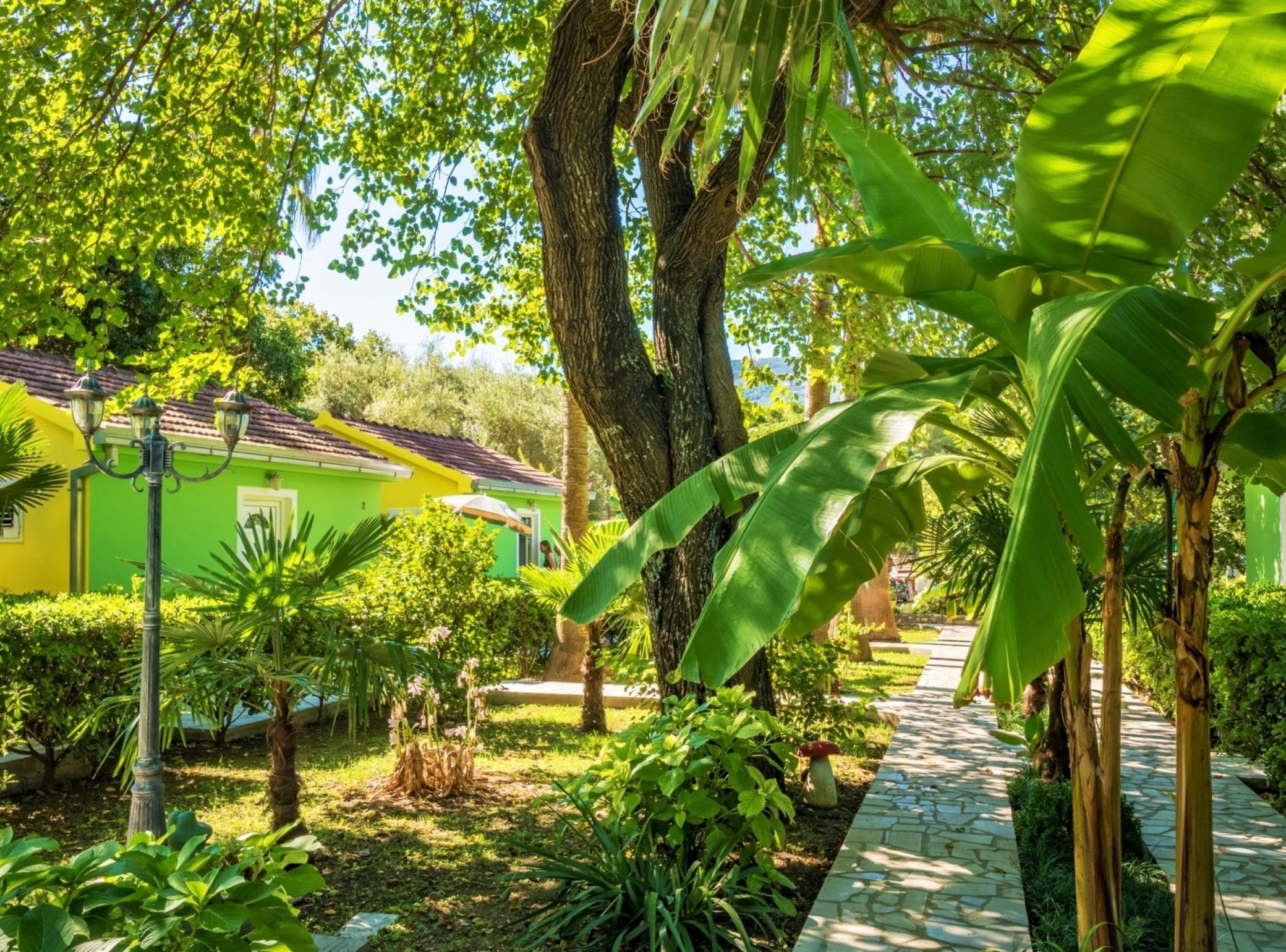 Estudi (Studio Apartment With Terrace) | Jardí