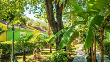 Studio (Studio Apartment With Terrace) | Garden