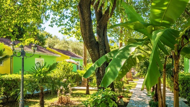 A garden pathway leading to a yellow building with a tiled roof, surrounded by lush greenery and a large tree. - Nirvana Apartments & Auto Camp (Kumbor)