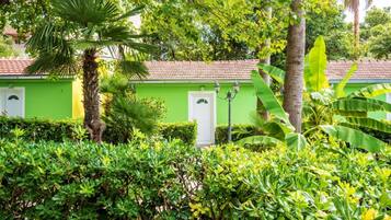 Studio (Studio Apartment With Terrace) | Exterior