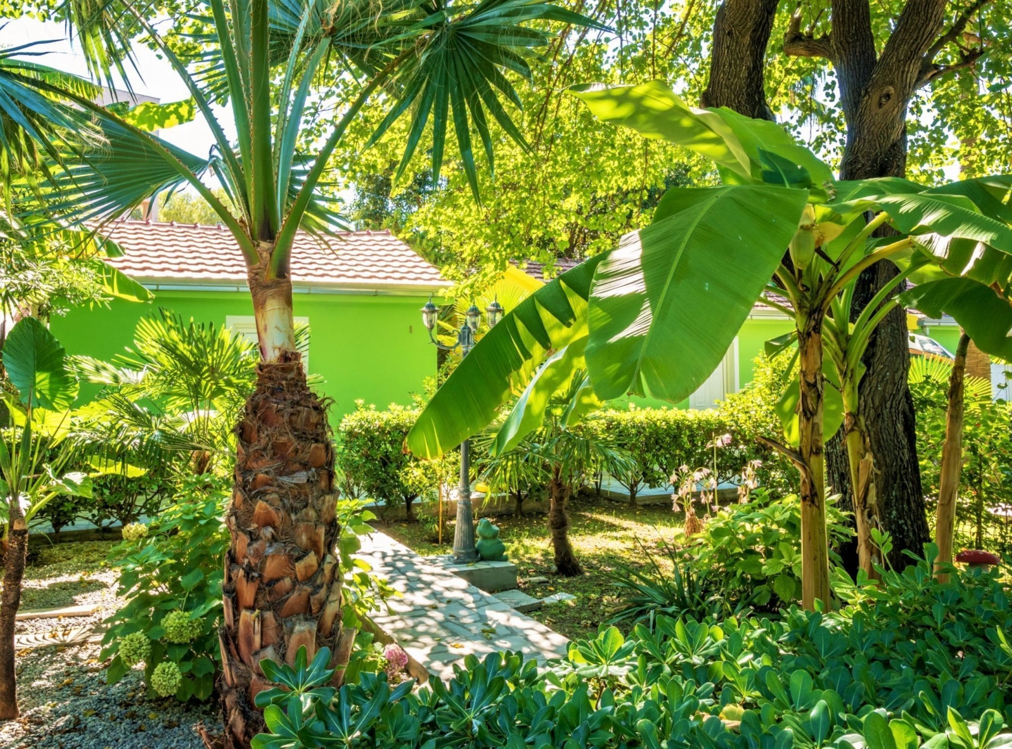 Studio (Studio Apartment With Terrace) | Taman