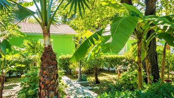 Studio (Studio Apartment With Terrace) | Taman