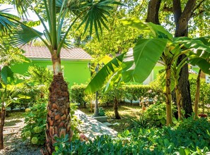 Studio (Studio Apartment With Terrace) | Puutarha