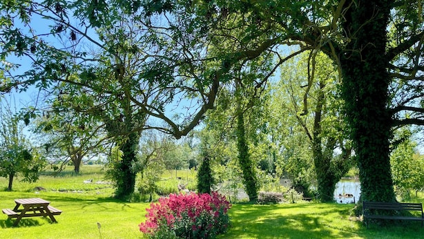 Un espace extérieur verdoyant avec des tables de pique-nique, un banc et des arbustes en fleurs.