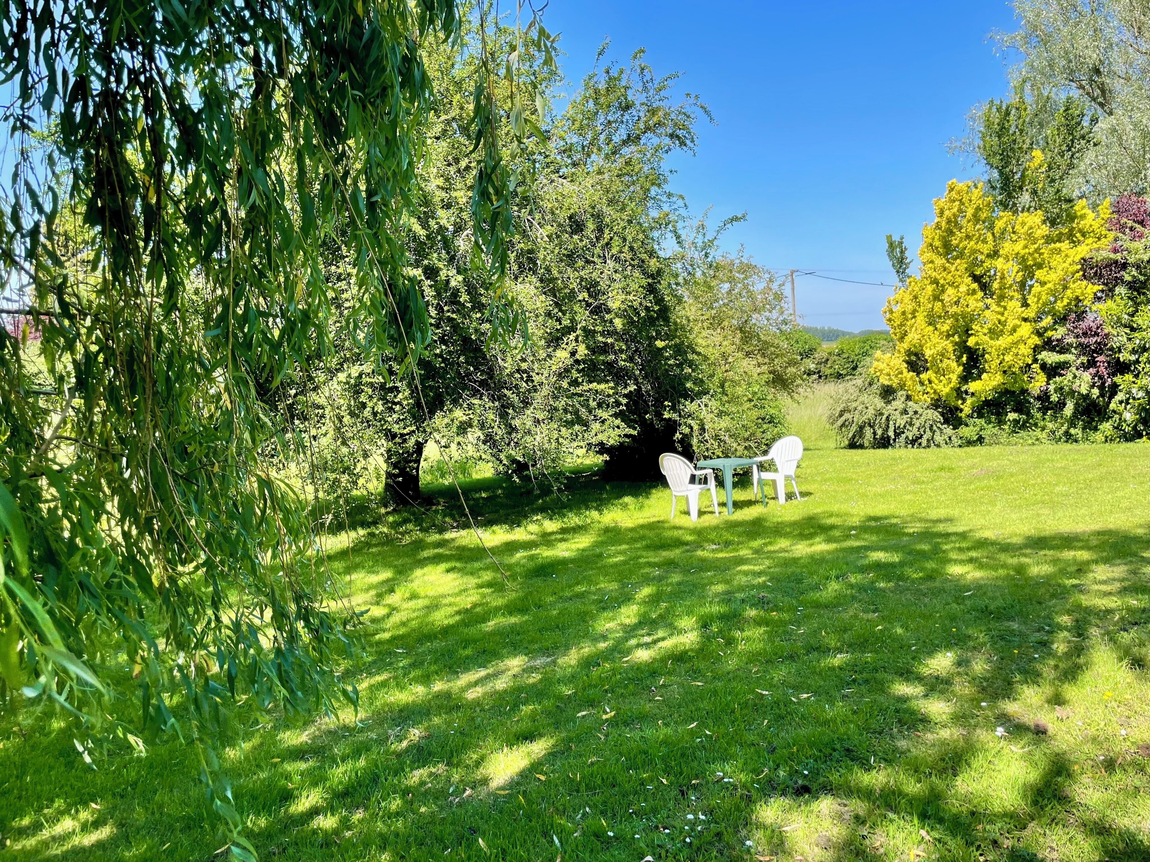 Un espace extérieur verdoyant, avec une table et des chaises blanches, entouré d’arbres et d’arbustes.