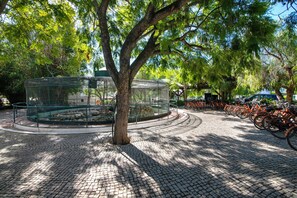 Una plaza adoquinada con una estructura de vidrio, un árbol y una hilera de bicicletas.