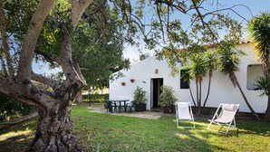 Un edificio blanco con un patio, un árbol grande y dos sillas blancas.