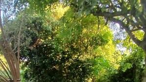 Ein runder Gartentisch mit vier Stühlen, umgeben von üppigem Grün und einem Pflasterweg.