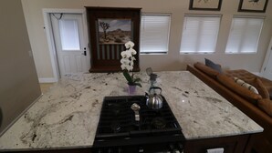 A kitchen with a granite countertop, a stove, a potted plant, and a painting on the wall.