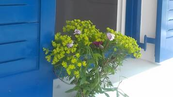 DĂ©tail de lâextĂ©rieur