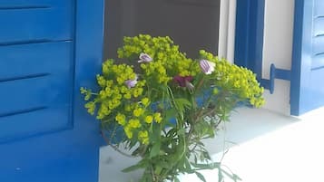 DĂ©tail de lâextĂ©rieur