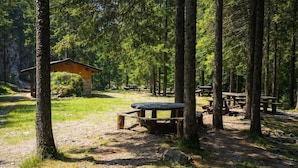 A forested campsite with picnic tables and a cabin. - Roncobellissimo! – Fresco e relax a 1.000 metri (Roncobello)