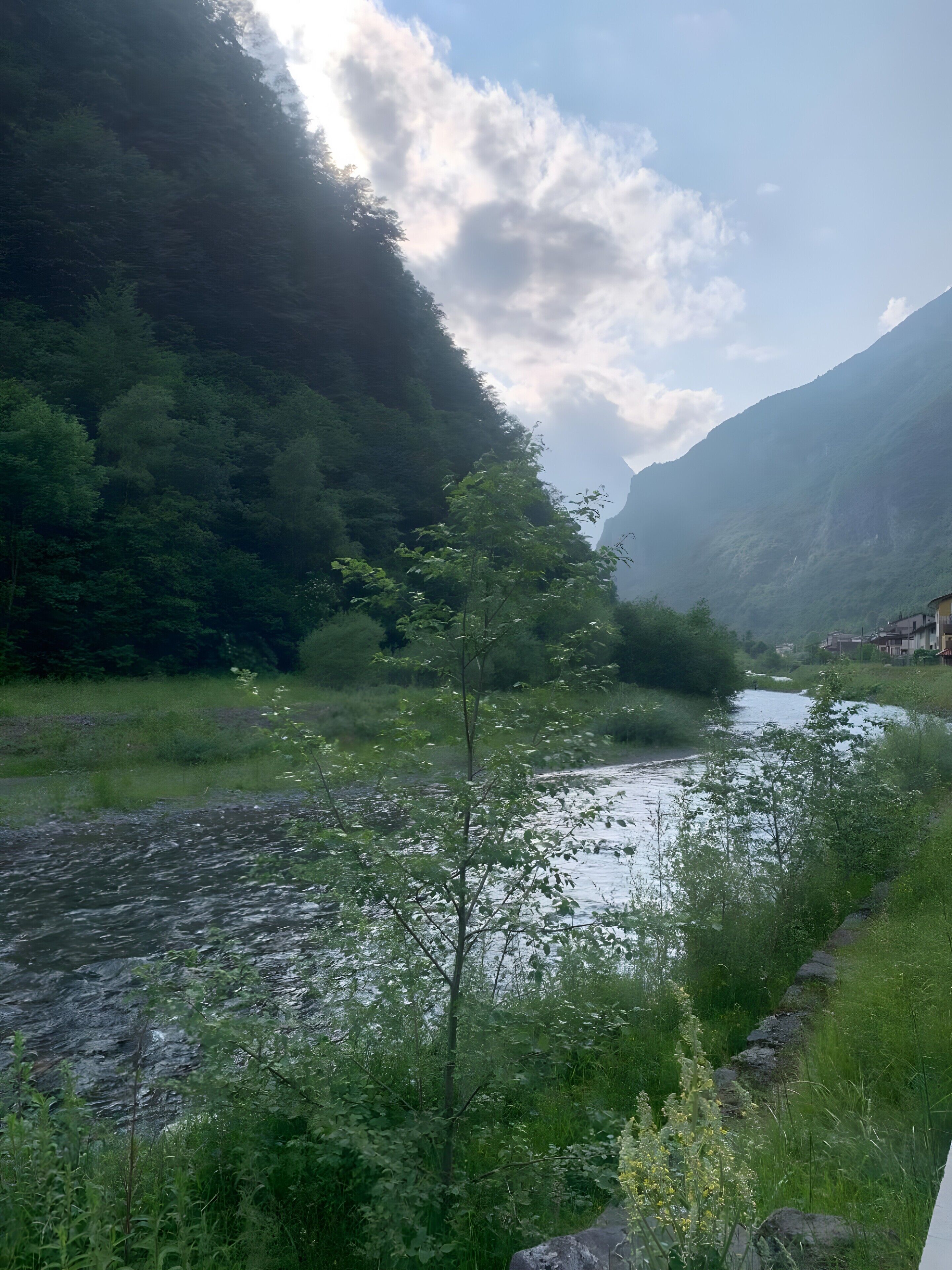 Un río serpentea por un valle con un denso bosque a un lado y una montaña al fondo.