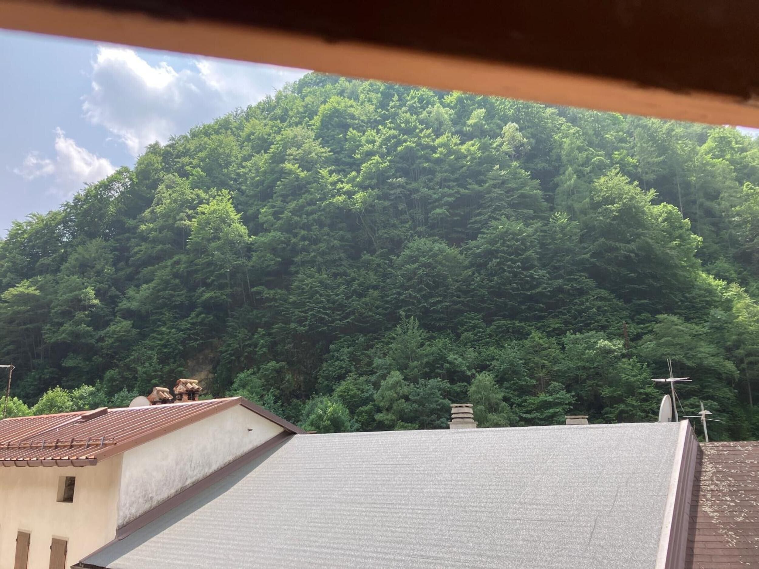 A building with a sloped roof, a chimney, and a view of a dense forested hill.