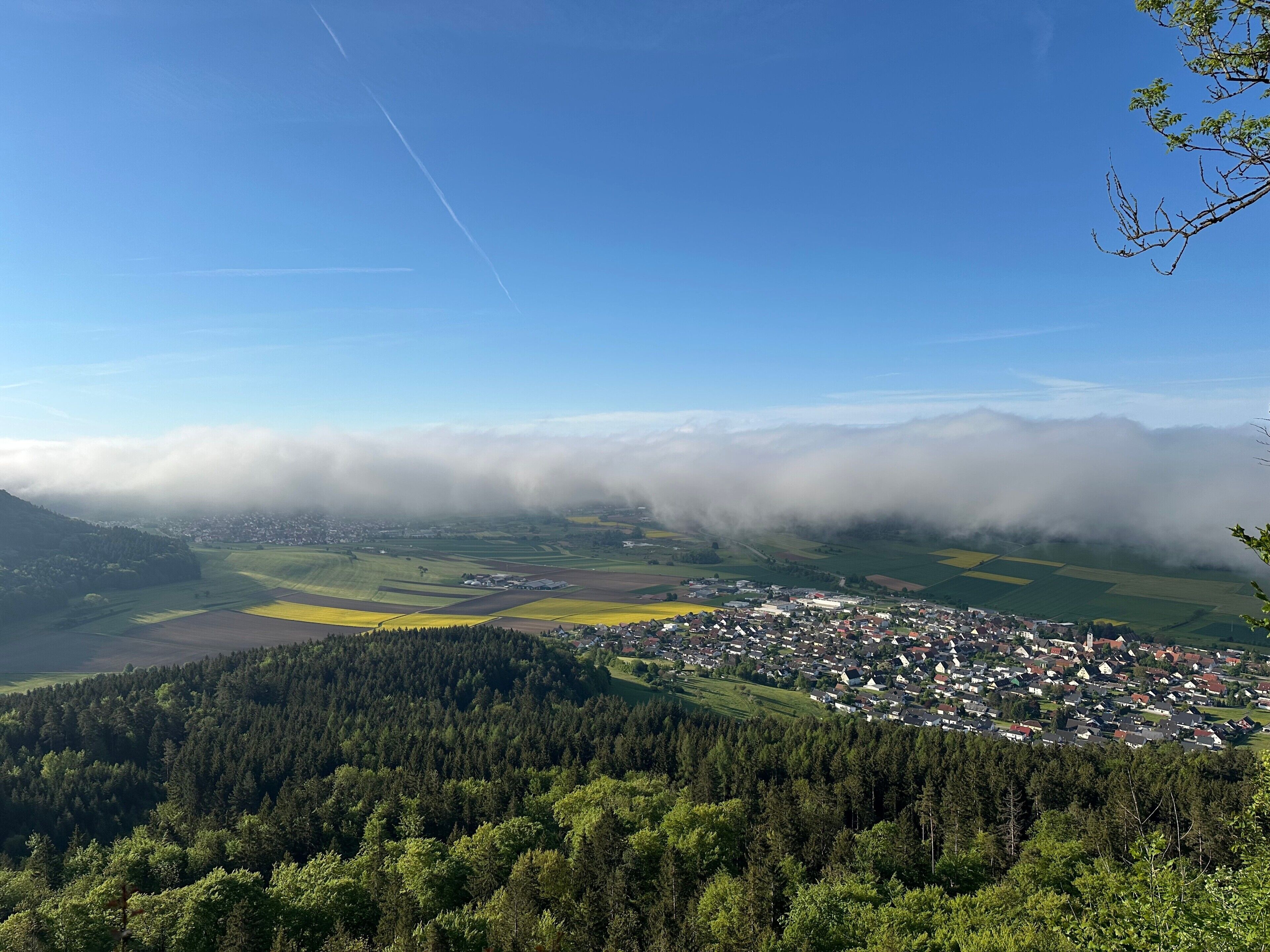 A town nestled in a valley with a forested hill in the foreground and a clear sky above.