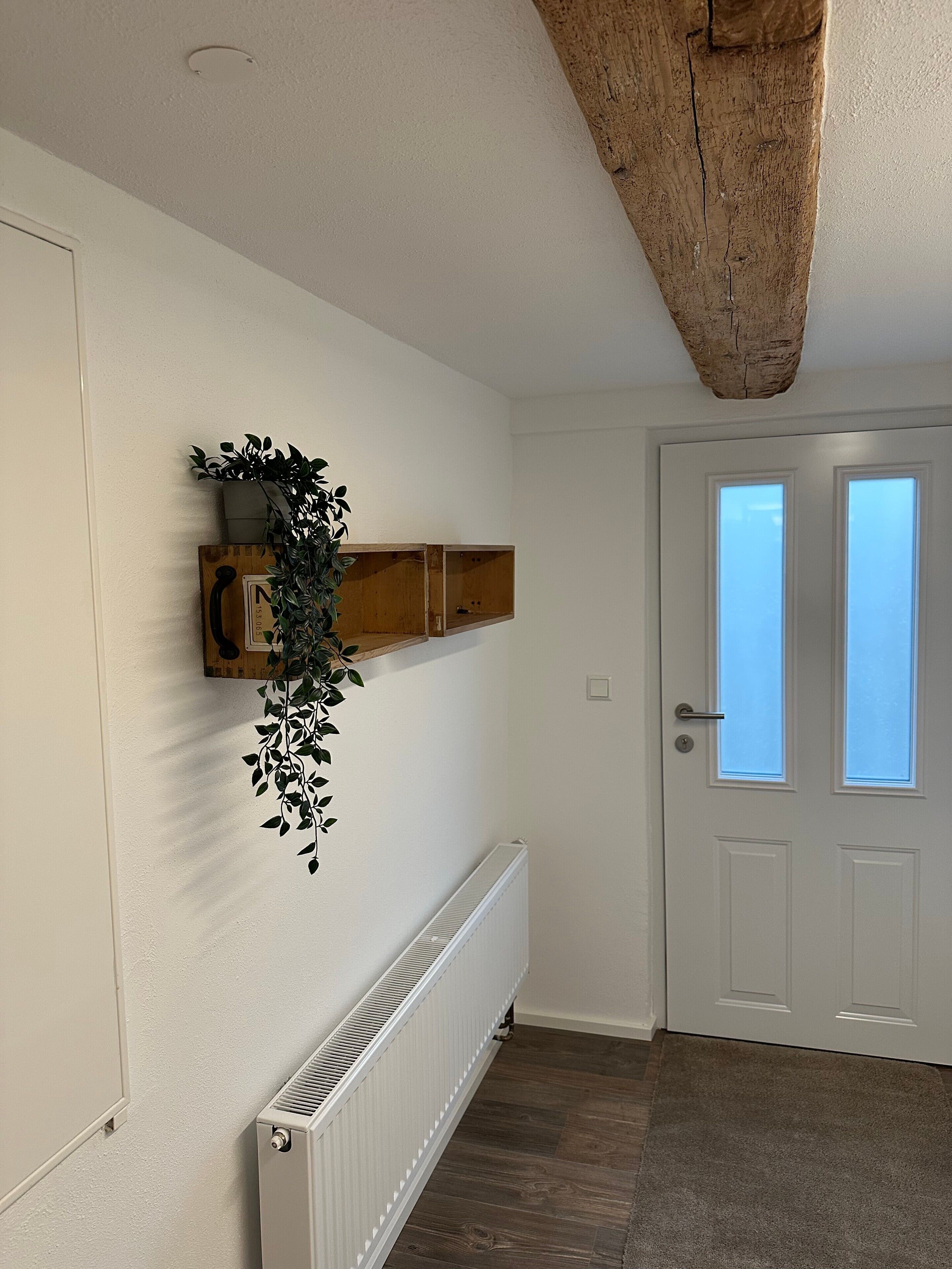 A hallway with a radiator, a wooden shelf with a plant, and a door with windows.