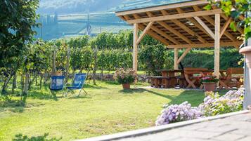 Ein Weinberg mit einer Holzpergola und einer Sitzgelegenheit.