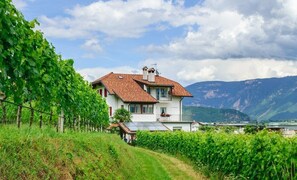 A two-story house with a red-tiled roof, surrounded by lush green vineyards, and mountains in the background. - 743A Apartments Rogginer | Lagrein (Termeno sulla strada del vino)