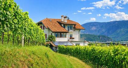 Apartments Rogginer I Apartment Gewürztraminer 743