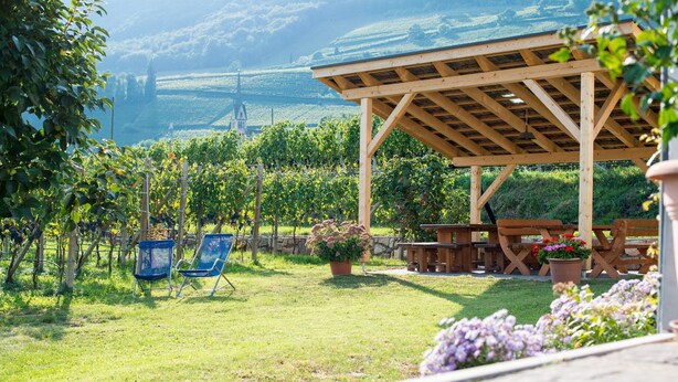 Ein Weinberg mit einer Holzpergola und einer Sitzgelegenheit.